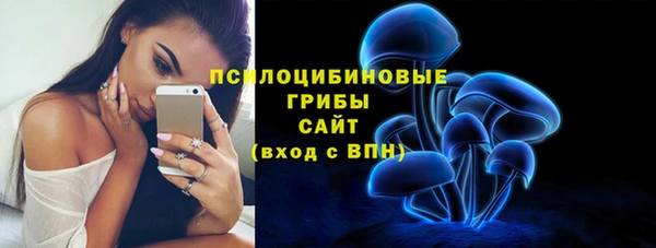прущая мука Иннополис