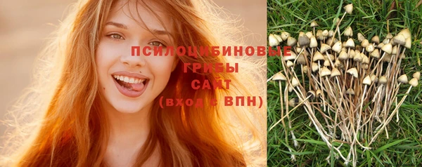 мдма Инта