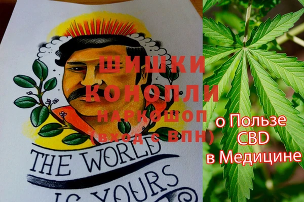 мдма Инта