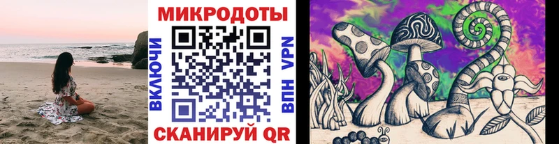 Купить закладки  Кыштым  Псилоцибиновые грибы мухоморы 